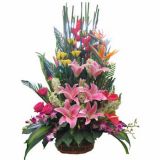ںʻٵ