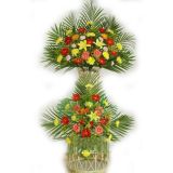 ںʻٵ