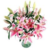 ںʻٵ