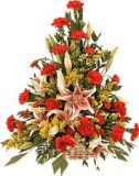ںҵ
