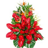 ںʻٵ