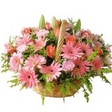 ںҵ