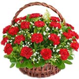 ںҵ