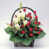 ںҵ