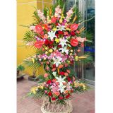 ںʻԤ