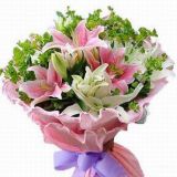 ںҵ