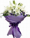 ںʻԤ