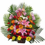 ںҵ