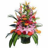 ںʻԤ