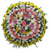 ںҵ