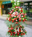ںҵ