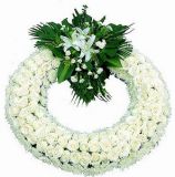 ںҵ