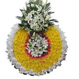 ںҵ